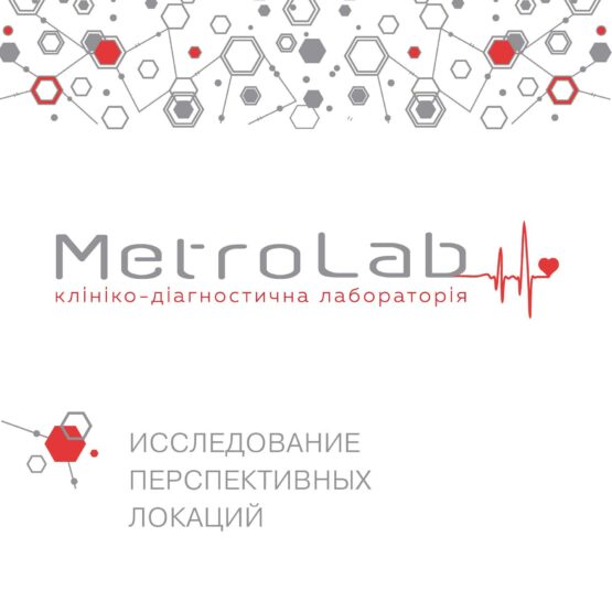 Исследование перспективных локаций MetroLab