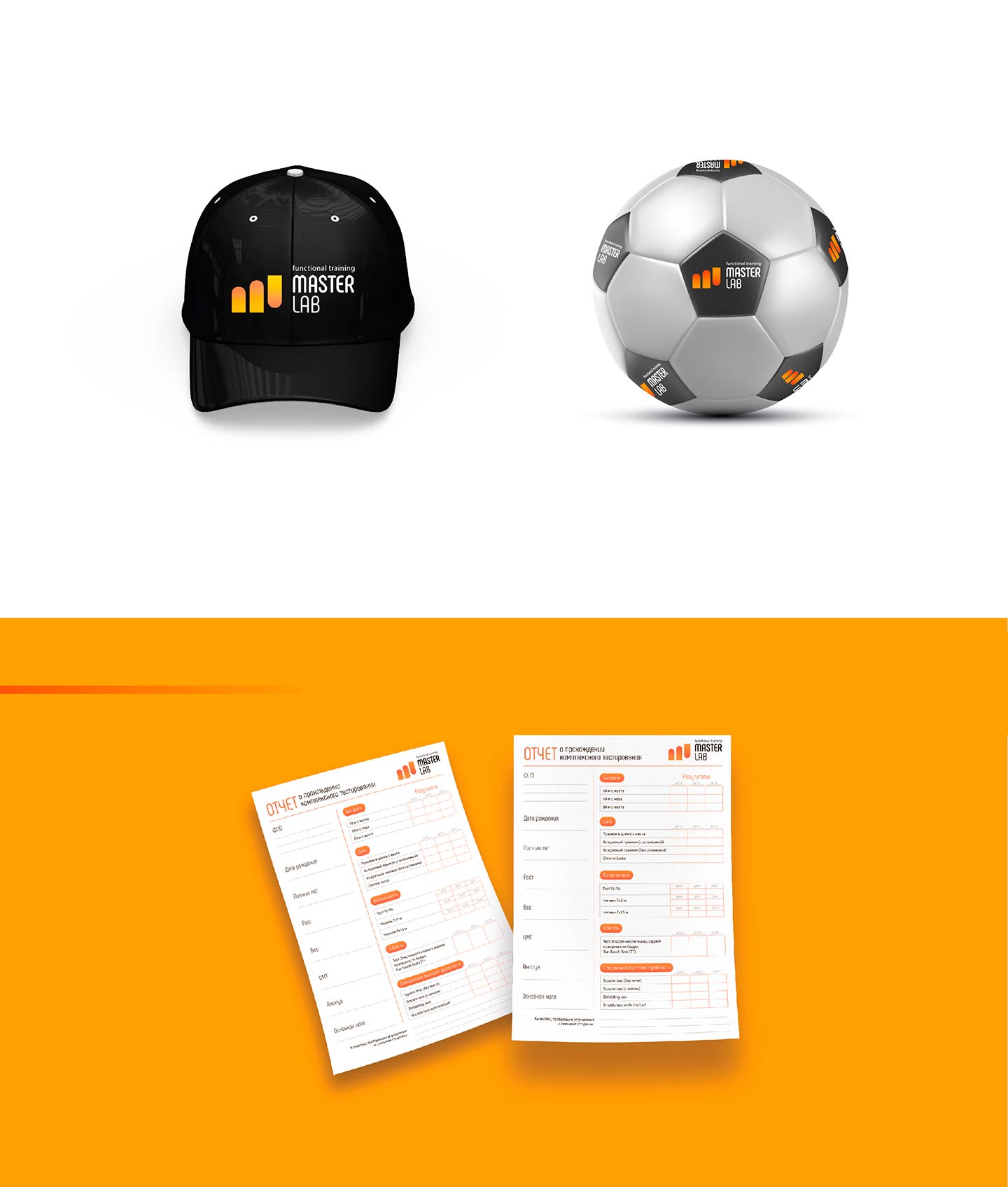 Лого и рабочие материалы Master Lab