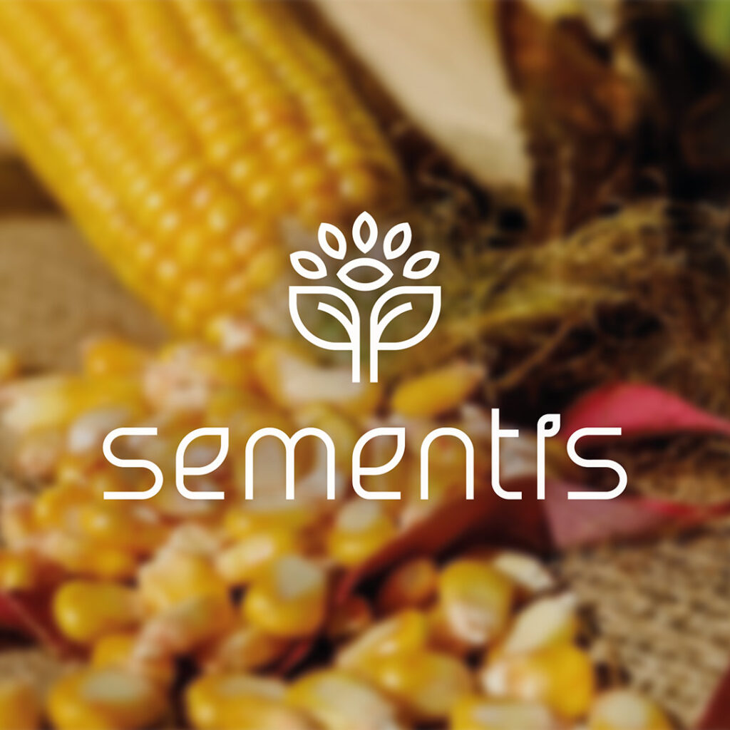 Дизайн логотипа и фирменного стиля Sementis