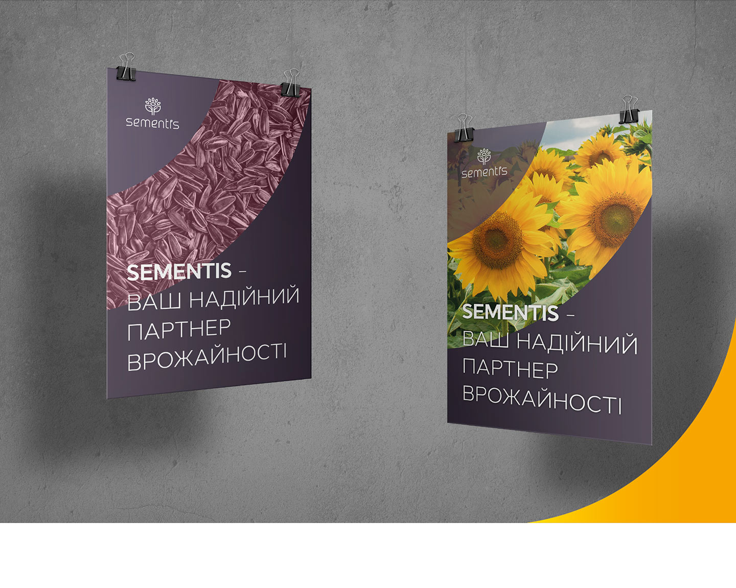 Создание логотипа и фирменного стиля Sementis