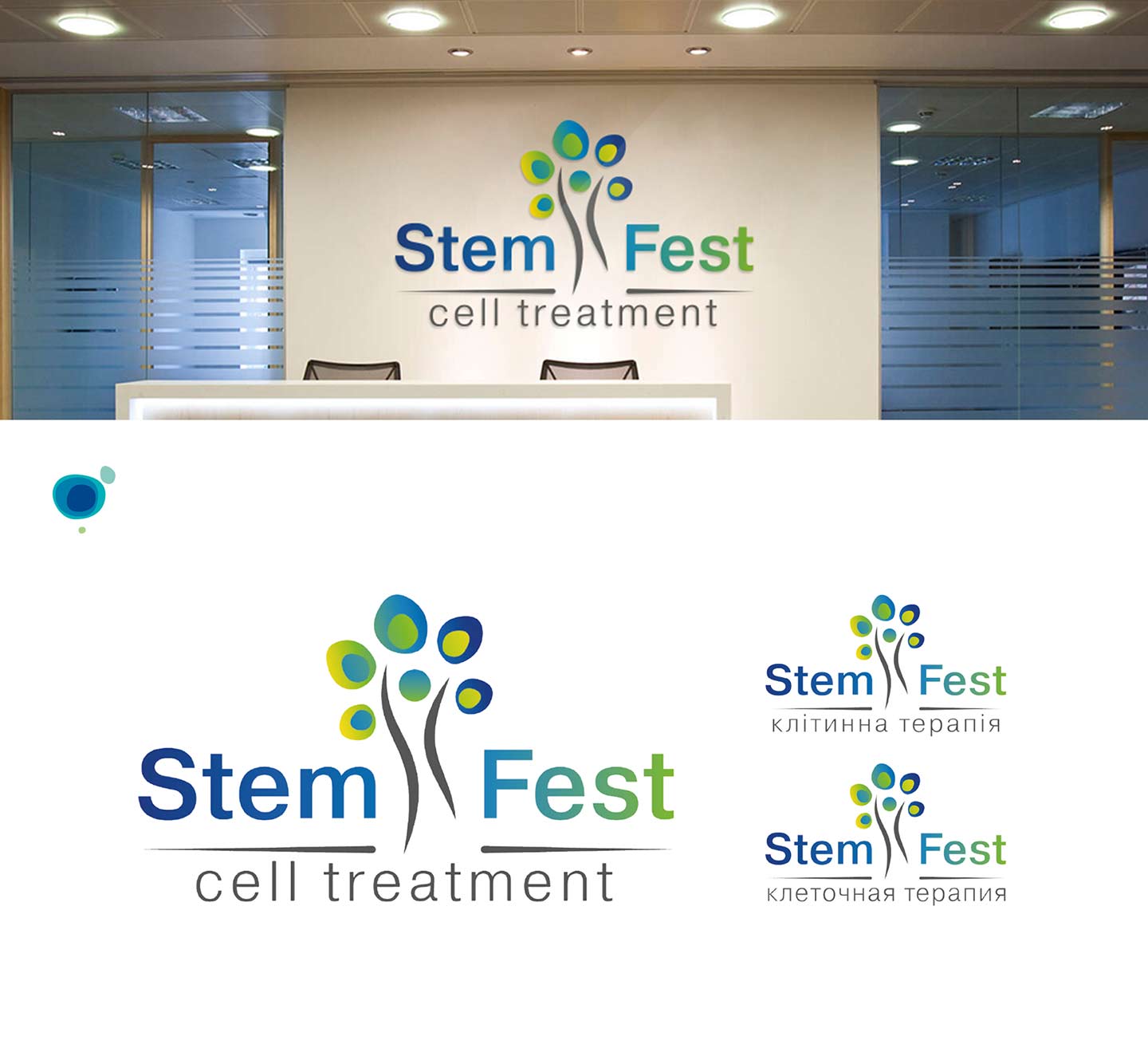Логотип та фірмовий стиль Stem Fest