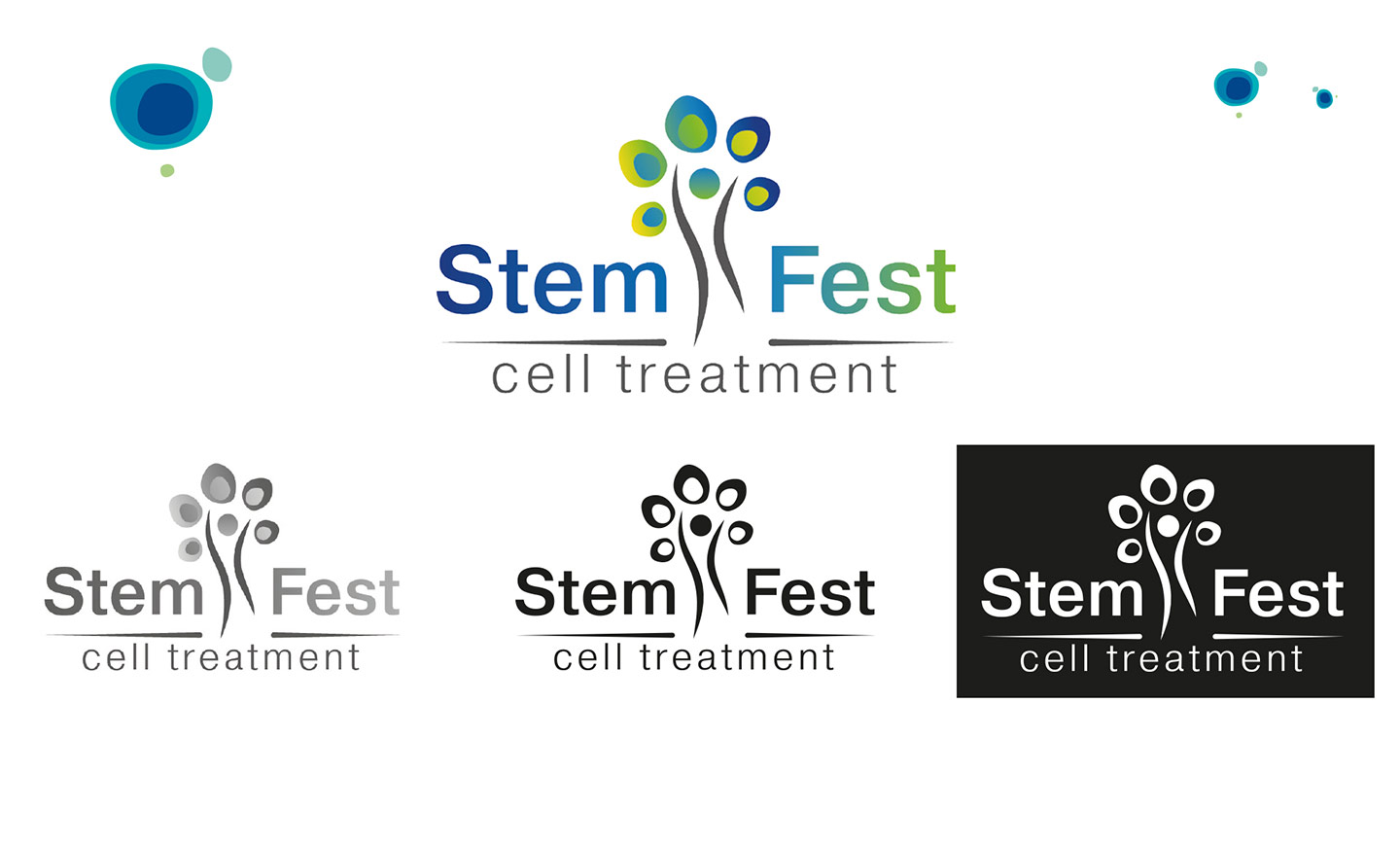 Фирменный стиль Stem Fest. Цветовые решения
