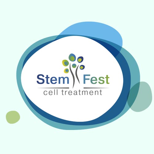 Логотип і фірмовий стиль Stem Fest