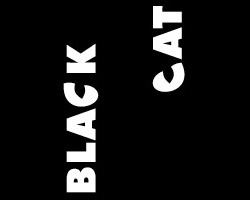 Логотип Black Cat із силуетом кота між словами