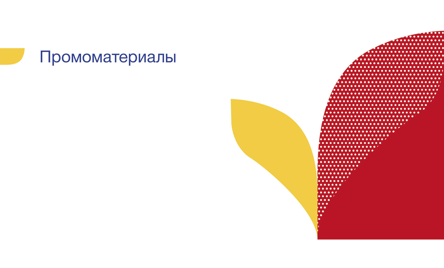 Мерч та промоматеріали міжнародної школи NSS School