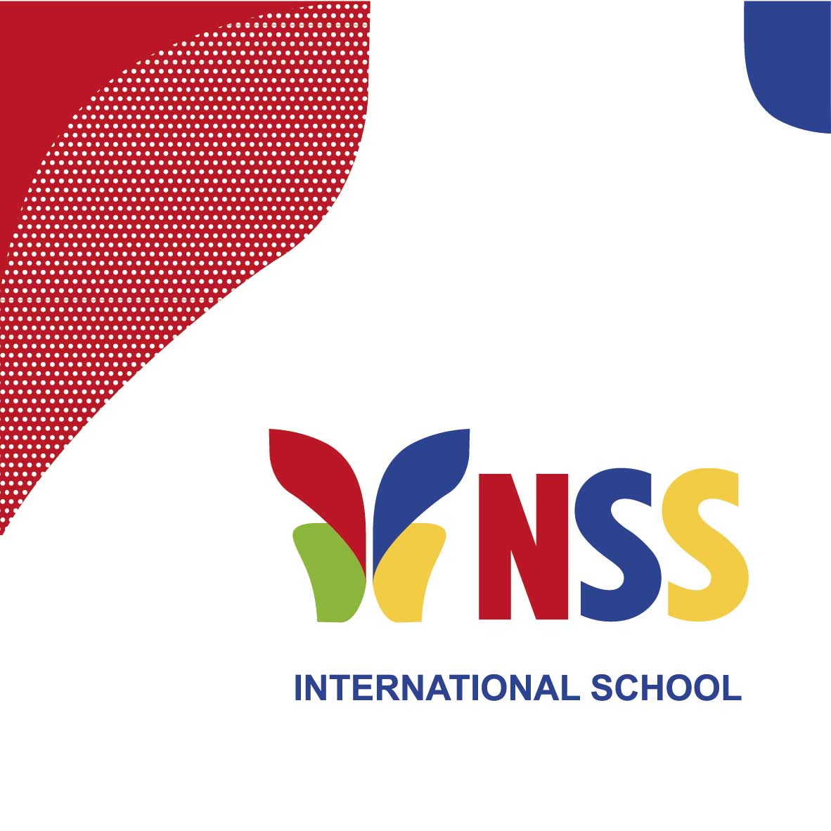 Фирменный стиль международной школы NSS